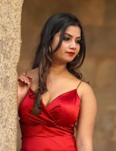 call girl service in Bhokardan